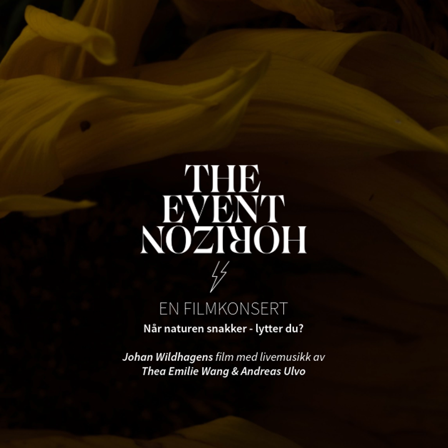 The Event Horizon