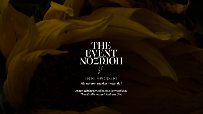 The Event Horizon